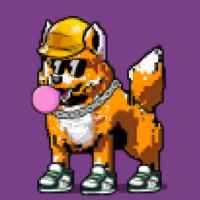 DogePunks #4868