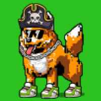 DogePunks #960