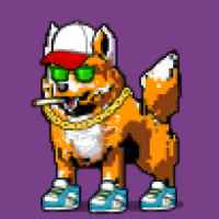 DogePunks #2023