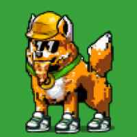 DogePunks #1607