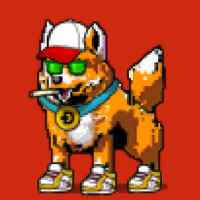 DogePunks #3199