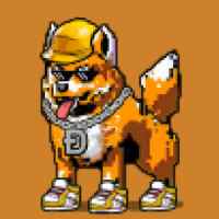 DogePunks #4835