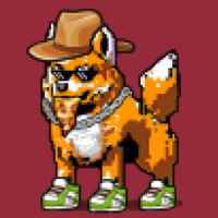 DogePunks #2366