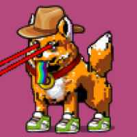DogePunks #1102