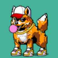 DogePunks #756