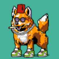 DogePunks #2049