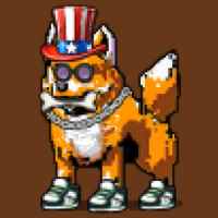 DogePunks #2082