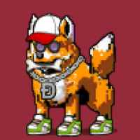 DogePunks #752