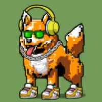 DogePunks #335
