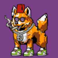 DogePunks #2805