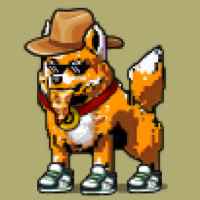 DogePunks #970