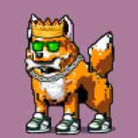DogePunks #1326