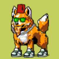 DogePunks #1427