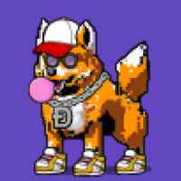 DogePunks #853