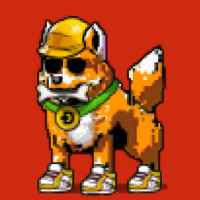 DogePunks #1580