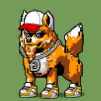 DogePunks #1240