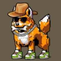 DogePunks #2878