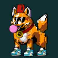 DogePunks #1333