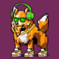 DogePunks #676