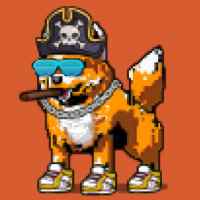 DogePunks #4335
