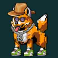 DogePunks #4209