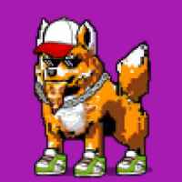 DogePunks #2391