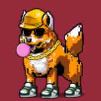DogePunks #483