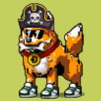 DogePunks #1560