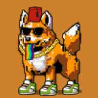 DogePunks #34
