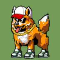 DogePunks #3078