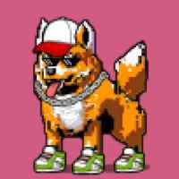 DogePunks #1621