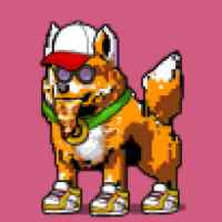 DogePunks #1706