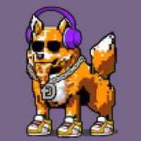 DogePunks #1810