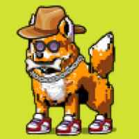 DogePunks #573