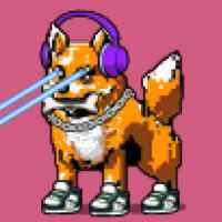 DogePunks #762