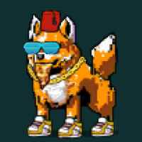 DogePunks #2371