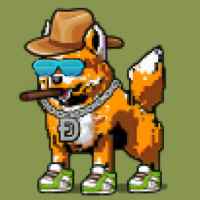 DogePunks #3363