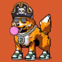 DogePunks #4866