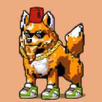 DogePunks #1480