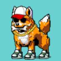 DogePunks #3733