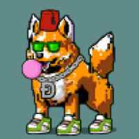 DogePunks #224