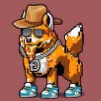 DogePunks #525