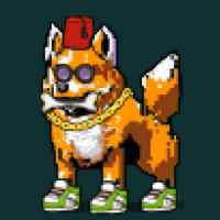 DogePunks #3587