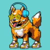 DogePunks #198