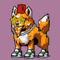 DogePunks #4162