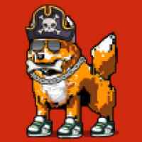 DogePunks #2055