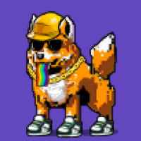 DogePunks #728