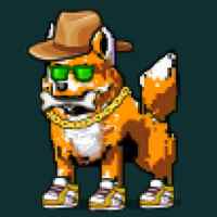 DogePunks #990