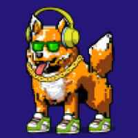 DogePunks #4575