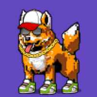DogePunks #824